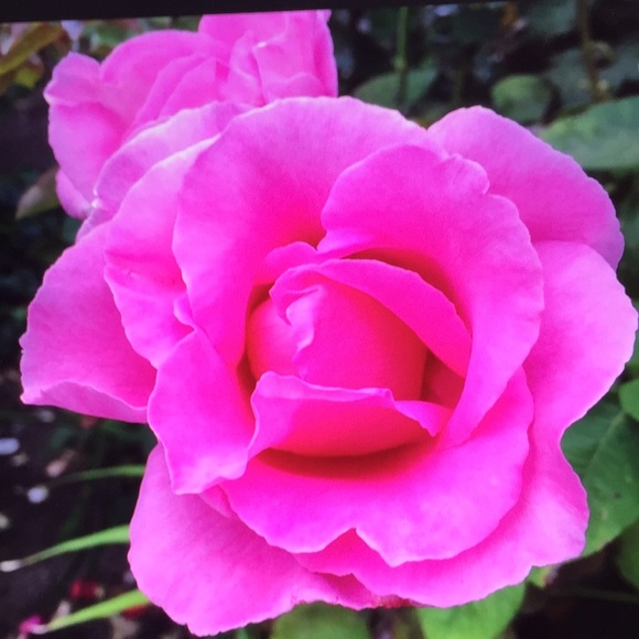 NEW COMMUNICATION PAGE.... Say Hello, etc. 😄 - Picture 5 of 5